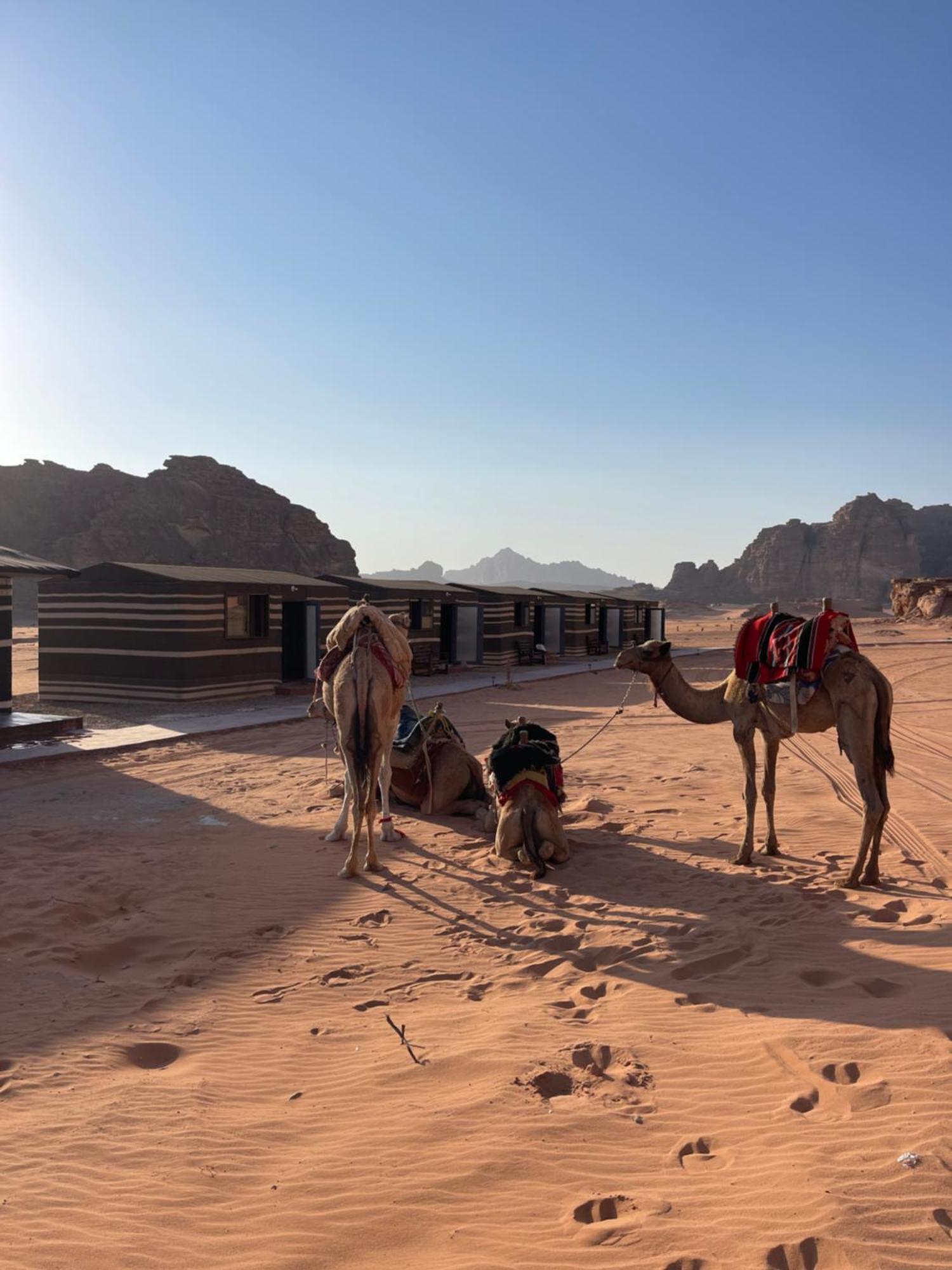 Wadi Rum Magic Camp ภายนอก รูปภาพ
